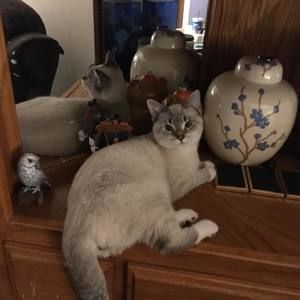 Meet your Posher, Vicki